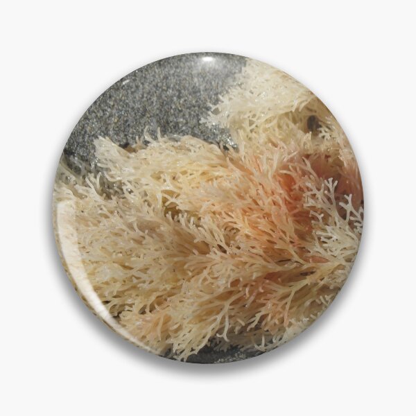 Item preview, Seaweed On The Shore designed and sold by lezvee.