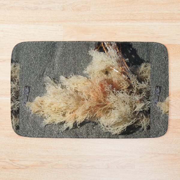 Item preview, Seaweed On The Shore designed and sold by lezvee.