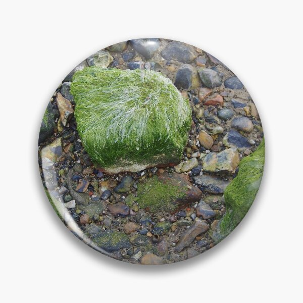 Item preview, Pebbles and Seaweed designed and sold by lezvee.