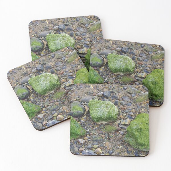 Item preview, Pebbles and Seaweed designed and sold by lezvee.