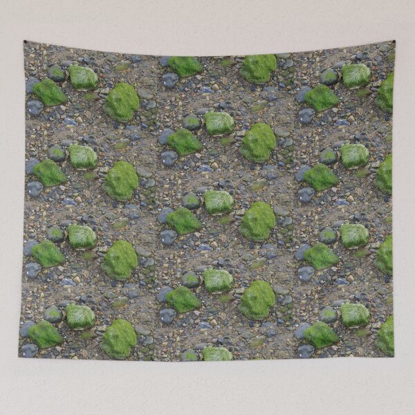 Item preview, Pebbles and Seaweed designed and sold by lezvee.
