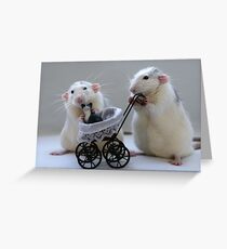 A nice day out! Greeting Card