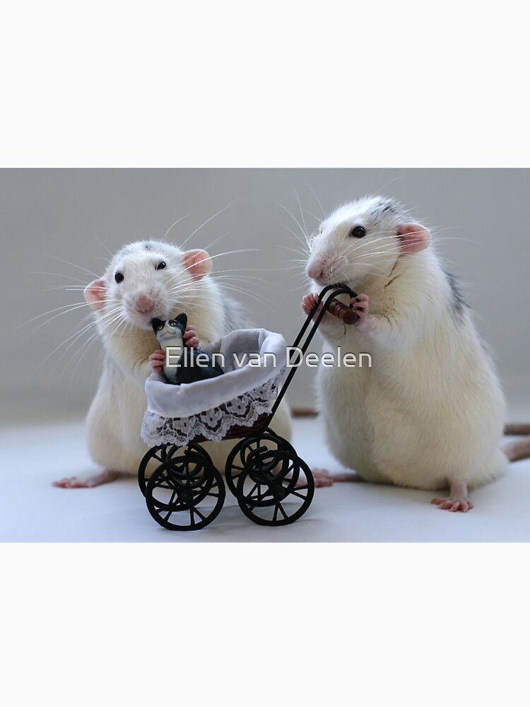 A nice day out! by Ellen