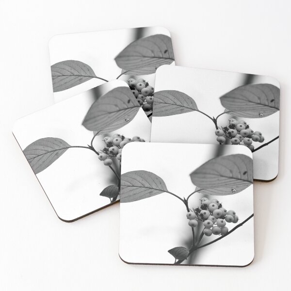 Item preview, Siberian dogwood berries bw designed and sold by Jouko Lehto Photography.