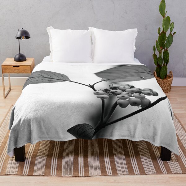 Item preview, Siberian dogwood berries bw designed and sold by Jouko Lehto Photography.