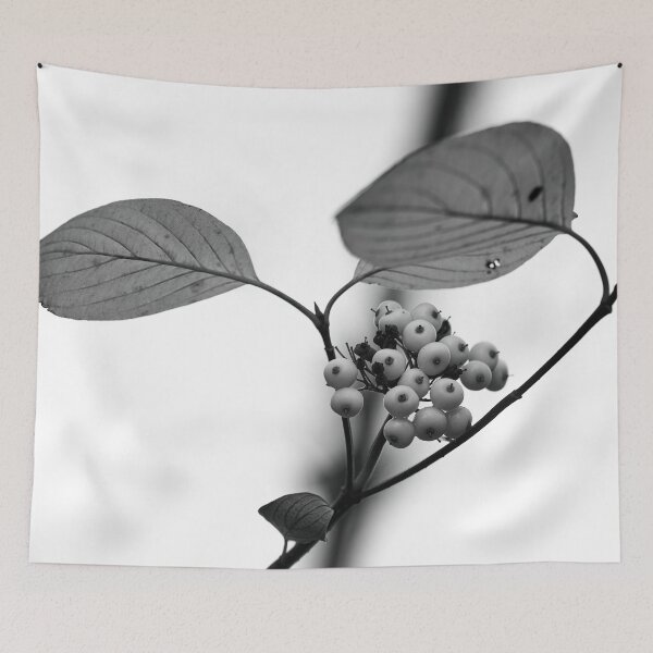 Item preview, Siberian dogwood berries bw designed and sold by Jouko Lehto Photography.