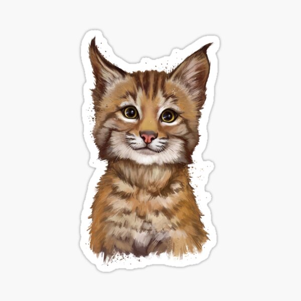 baby lynx Sticker