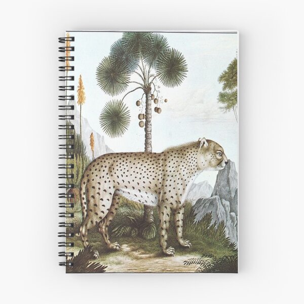 Item preview, Cat-1 designed and sold by Infopreneur123.