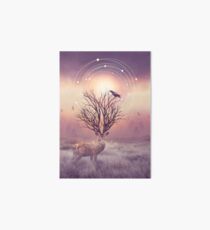 In the Stillness Art Board Print