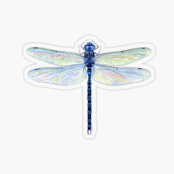 Item preview, Spatterdock Dragonfly designed and sold by Tamara Clark.