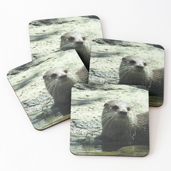 Item preview, Asian Small-clawed Otter  designed and sold by kirstybush.