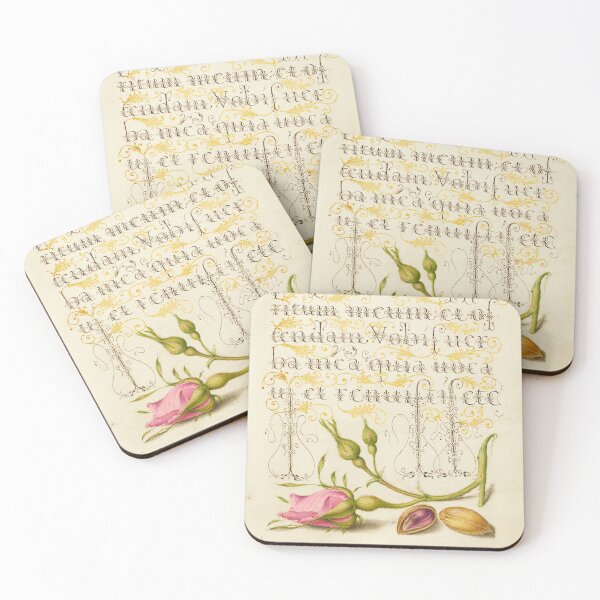 Item preview, Naturalist Manuscript Plants Illumination: French Rose and Pistachio by Joris Hoefnagel  designed and sold by Naturalist Prints.