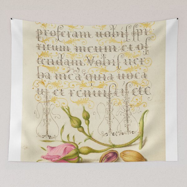 Item preview, Naturalist Manuscript Plants Illumination: French Rose and Pistachio by Joris Hoefnagel  designed and sold by Naturalist Prints.