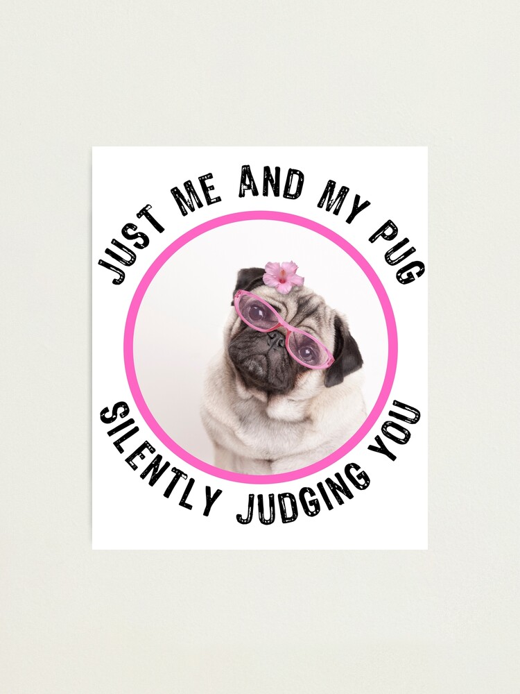 Funny Pug Quote - Silently Judging You