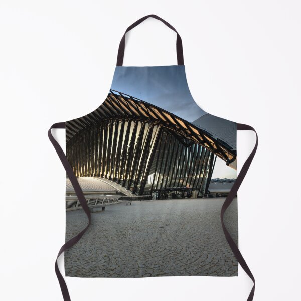 Item preview, Lyon Train Station at Dawn designed and sold by dunxs.