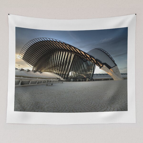 Item preview, Lyon Train Station at Dawn designed and sold by dunxs.