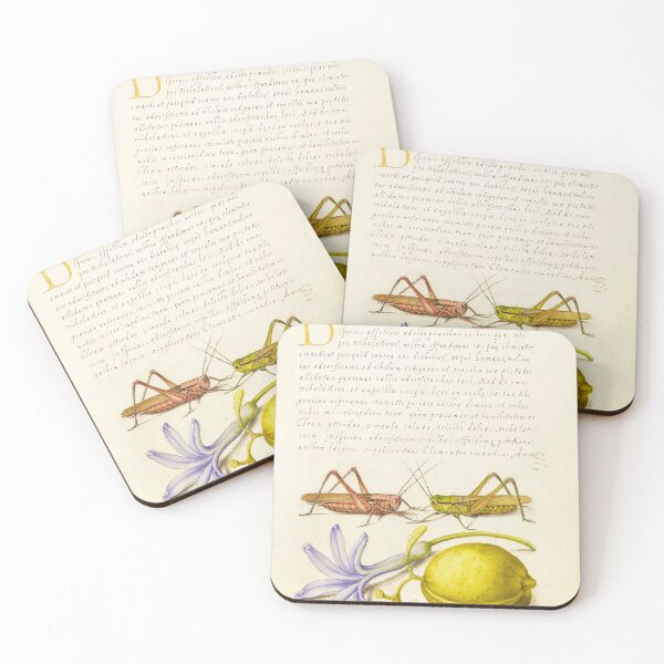Item preview, Naturalist Manuscript Insects, Flowers, and Fruits Illumination: Wart-Biter, Grasshopper, Hyacinth, and Almond by Joris Hoefnagel  designed and sold by Naturalist Prints.