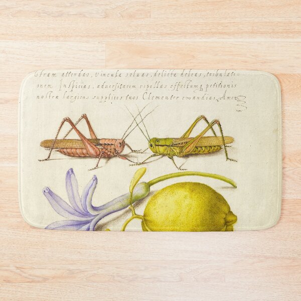 Item preview, Naturalist Manuscript Insects, Flowers, and Fruits Illumination: Wart-Biter, Grasshopper, Hyacinth, and Almond by Joris Hoefnagel  designed and sold by Naturalist Prints.