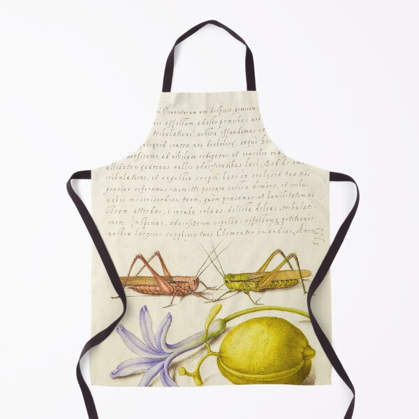 Item preview, Naturalist Manuscript Insects, Flowers, and Fruits Illumination: Wart-Biter, Grasshopper, Hyacinth, and Almond by Joris Hoefnagel designed and sold by Naturalist Prints.