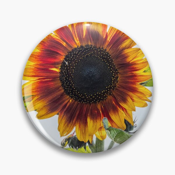 Item preview, Sunflower designed and sold by iCimages.net.