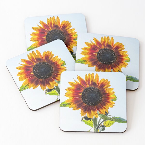 Item preview, Sunflower designed and sold by iCimages.net.
