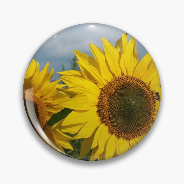 Item preview, Sunflowers in a field designed and sold by iCimages.net.
