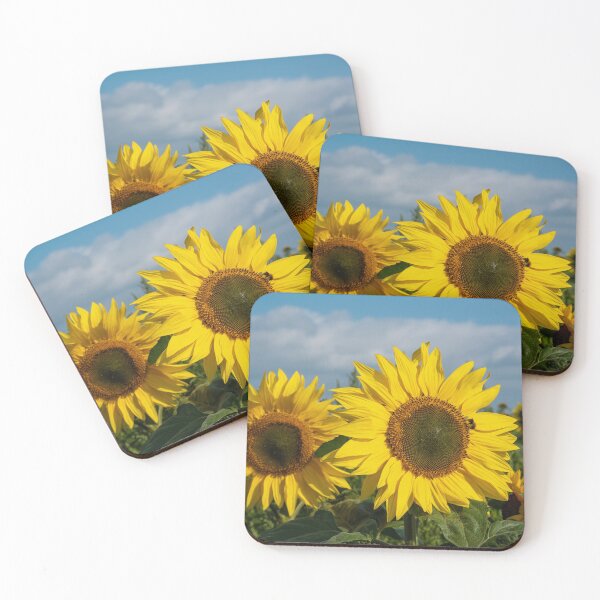 Item preview, Sunflowers in a field designed and sold by iCimages.net.