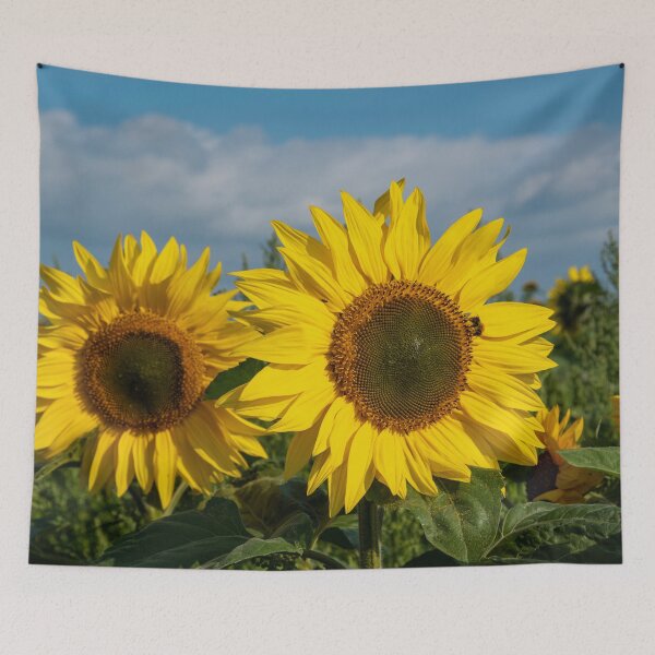 Item preview, Sunflowers in a field designed and sold by iCimages.net.