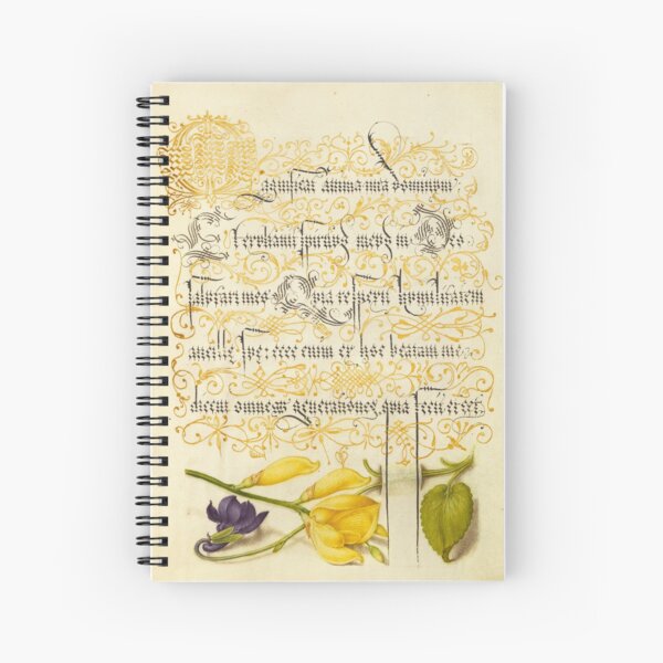 Item preview, Naturalist Manuscript Flowers and Plants Illumination: Sweet Violet and Spanish Broom by Joris Hoefnagel  designed and sold by Naturalist Prints.