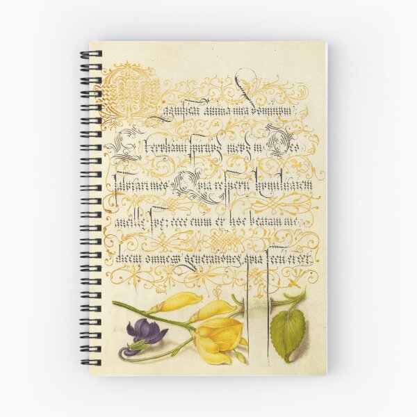 Item preview, Naturalist Manuscript Flowers and Plants Illumination: Sweet Violet and Spanish Broom by Joris Hoefnagel  designed and sold by Naturalist Prints.