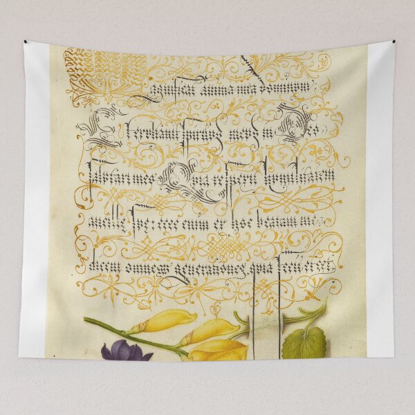 Item preview, Naturalist Manuscript Flowers and Plants Illumination: Sweet Violet and Spanish Broom by Joris Hoefnagel  designed and sold by Naturalist Prints.