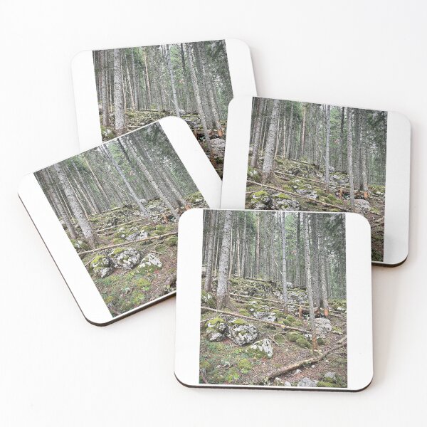 Item preview, Black Lake, Durmitor National Park, Montenegro designed and sold by Matthew Carroll.
