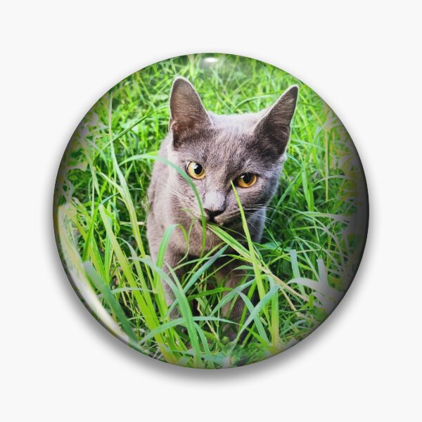 Item preview, Cute Russian blue cat photo in the grass  designed and sold by FLASHOP.