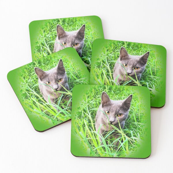 Item preview, Cute Russian blue cat photo in the grass  designed and sold by FLASHOP.