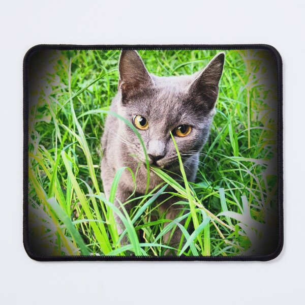 Item preview, Cute Russian blue cat photo in the grass  designed and sold by FLASHOP.