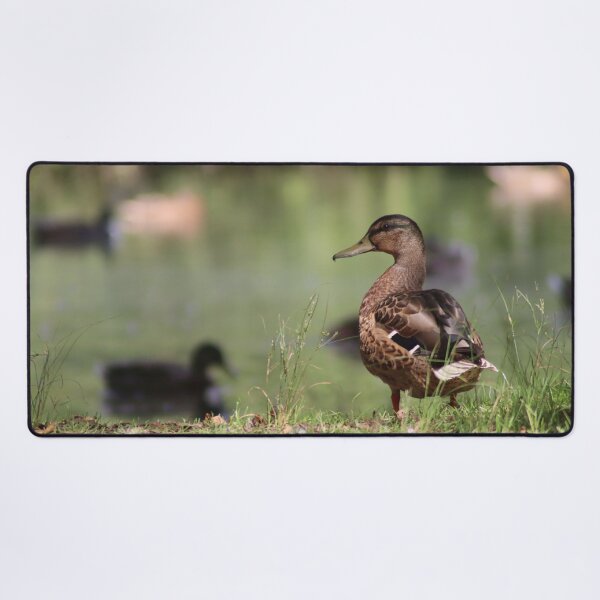 Item preview, Duck designed and sold by MvMeer.