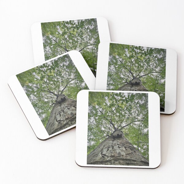 Item preview, Trees designed and sold by Matthew Carroll.
