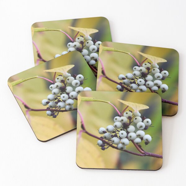 Item preview, Siberian dogwood berries designed and sold by Jouko Lehto Photography.