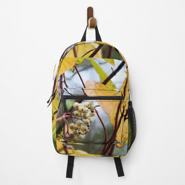 Item preview, Siberian dogwood berries in the fall designed and sold by Jouko Lehto Photography.