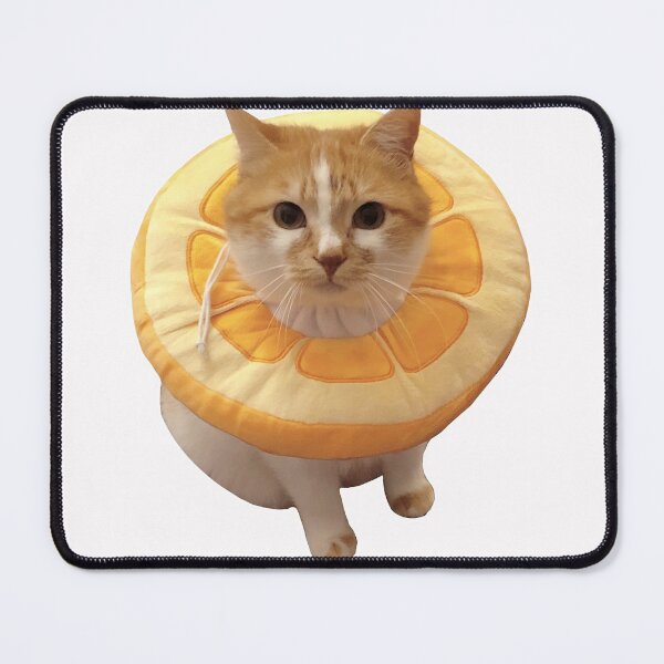 Item preview, Bao the cat designed and sold by dwotea.