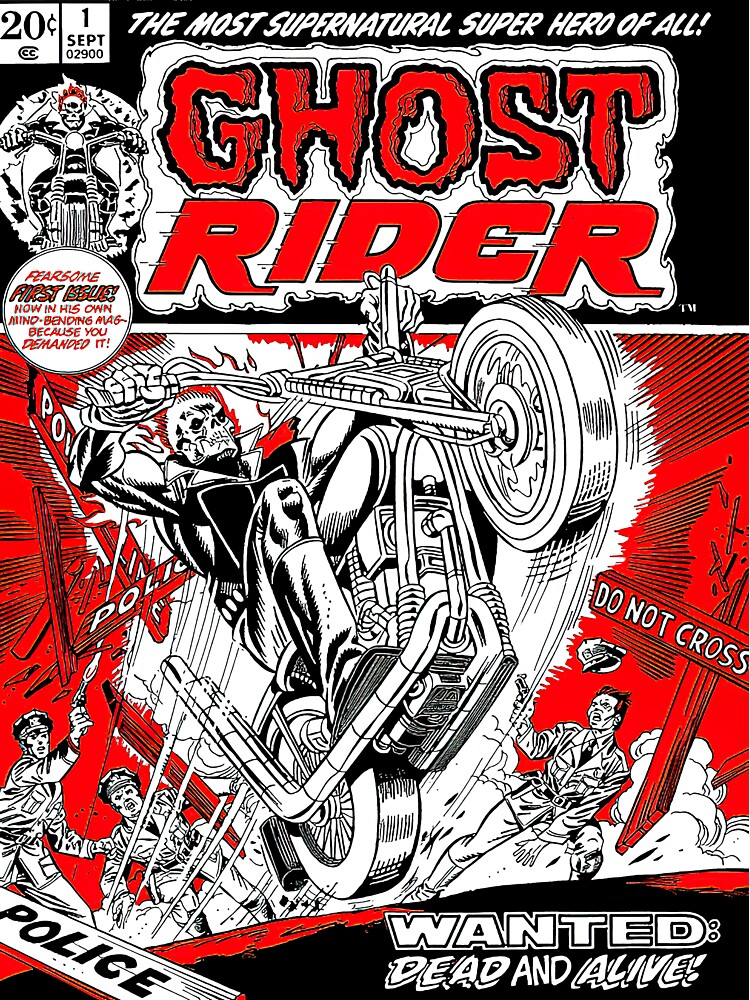 ghost rider stickers for bike