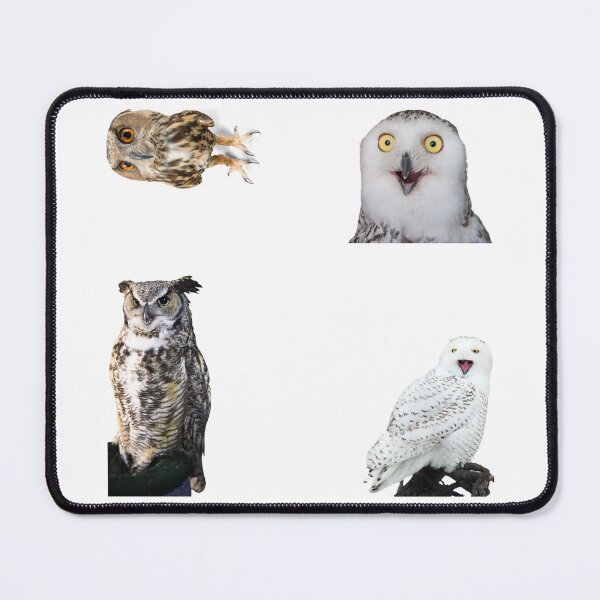 Item preview, 2nd Happy Owls Stickers Pack. Essential For Every Owl Lover. Suitable For Laptops, Walls, Cars - Cute designed and sold by AnimalStickers-.