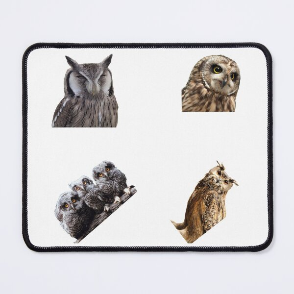 Artikelvorschau, 3. Happy Owls Sticker Pack. Unverzichtbar für jeden Eulenliebhaber. Geeignet für Laptops, Wände, Autos - Niedlich entworfen und verkauft von AnimalStickers-.