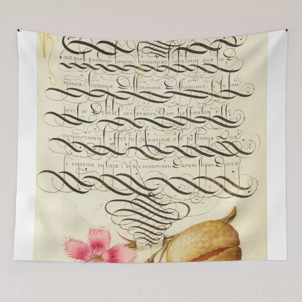 Item preview, Naturalist Manuscript Flower Illumination: Dianthus and Almond by Joris Hoefnagel  designed and sold by Naturalist Prints.