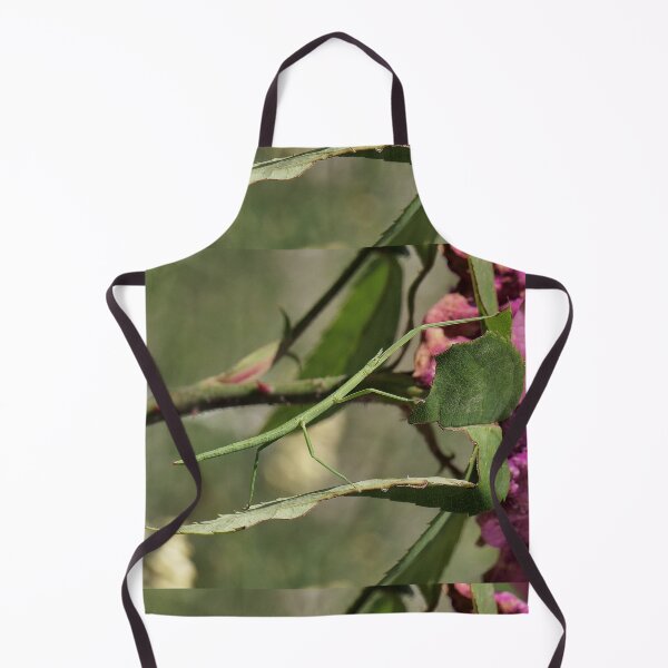 Item preview, r959 / New Finition 2021 " Le Légendaire Phasme du Jardin " (h) Olavia-Olao Okaio Créations designed and sold by o.okaïo.