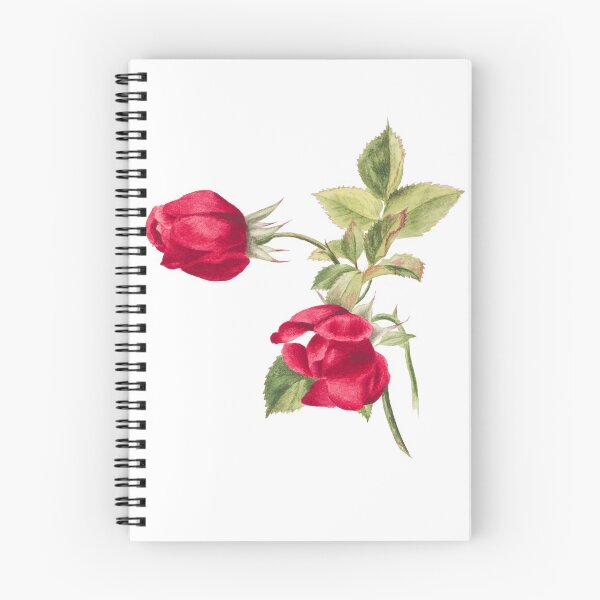 Item preview, Rosas rosadas designed and sold by Thingingthing.