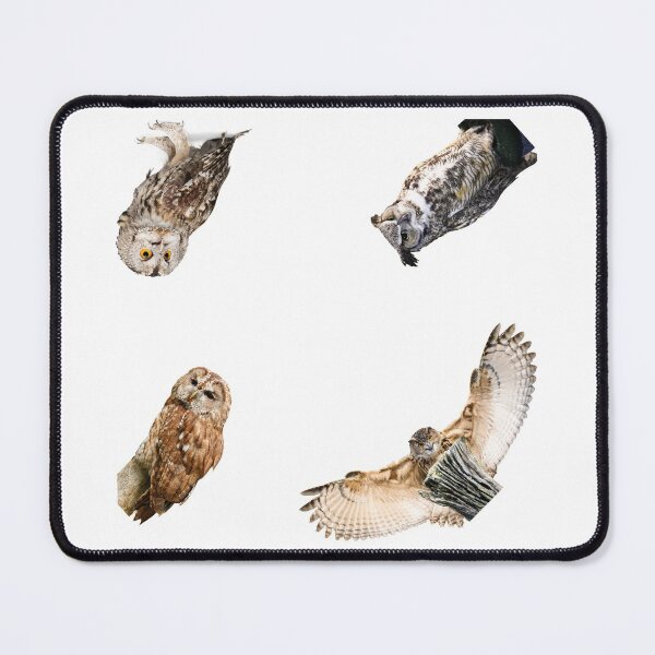 Item preview, 2nd Snarky Owls Stickers Pack. Essential For Every Owl Lover. Suitable For Laptops, Walls, Cars - Cute designed and sold by AnimalStickers-.