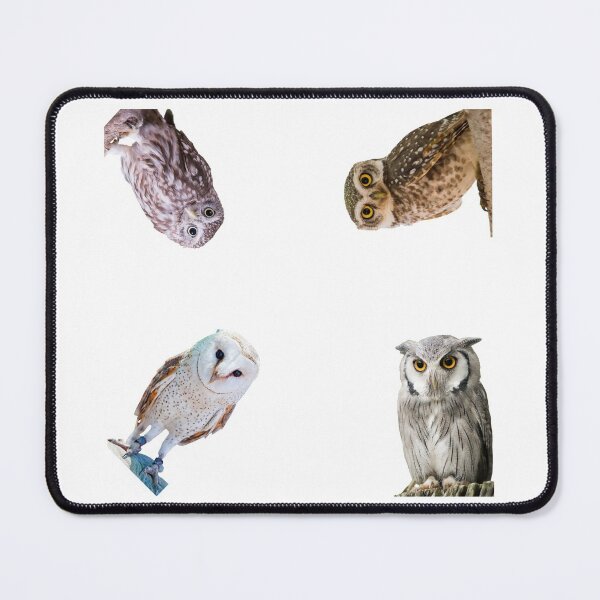 Item preview, 1st Standing Owls Stickers Pack. Essential For Every Owl Lover. Suitable For Laptops, Walls, Cars - Cute designed and sold by AnimalStickers-.