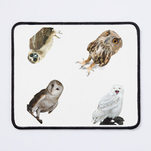 Item preview, 3rd Standing Owls Stickers Pack. Essential For Every Owl Lover. Suitable For Laptops, Walls, Cars - Cute designed and sold by AnimalStickers-.