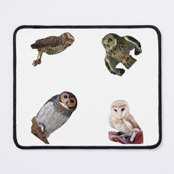 Item preview, 4th Standing Owls Stickers Pack. Essential For Every Owl Lover. Suitable For Laptops, Walls, Cars - Cute designed and sold by AnimalStickers-.